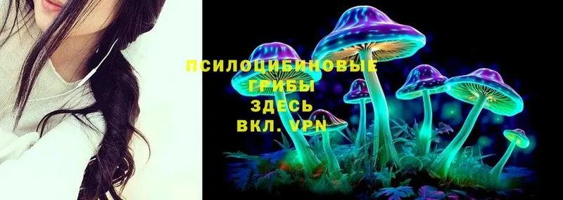 Псилоцибиновые грибы Magic Shrooms  Лабытнанги 